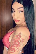 Enna Trans Escort Roxana 339 53 30 934 foto selfie 16