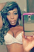 Bologna Trans Naomy Xl 329 01 67 932 foto selfie 67