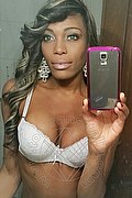 Bologna Trans Naomy Xl 329 01 67 932 foto selfie 66