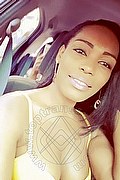 Bologna Trans Naomy Xl 329 01 67 932 foto selfie 55