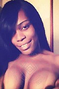Bologna Trans Naomy Xl 329 01 67 932 foto selfie 29