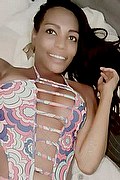 Bologna Trans Escort Naomy Xl 329 01 67 932 foto selfie 29