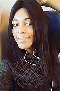 Bologna Trans Escort Naomy Xl 329 01 67 932 foto selfie 24