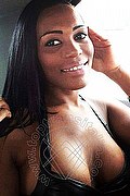 Bologna Trans Naomy Xl 329 01 67 932 foto selfie 21