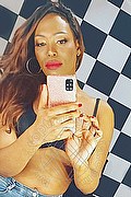 Bologna Trans Naomy Xl 329 01 67 932 foto selfie 4