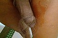 Bologna Trans Escort Naomy Xl 329 01 67 932 foto selfie 154