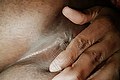 Bologna Trans Escort Naomy Xl 329 01 67 932 foto selfie 141