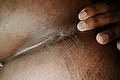 Bologna Trans Naomy Xl 329 01 67 932 foto selfie 133