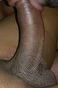 Bologna Trans Naomy Xl 329 01 67 932 foto selfie 122