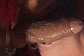 Bologna Trans Naomy Xl 329 01 67 932 foto selfie 102