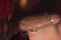 Bologna Trans Escort Naomy Xl 329 01 67 932 foto selfie 108