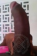 Bologna Trans Escort Naomy Xl 329 01 67 932 foto selfie 116