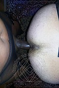 Bologna Trans Escort Naomy Xl 329 01 67 932 foto selfie 94