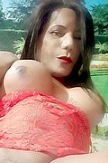 Rovigo Trans Nikoll 350 83 00 505 foto selfie 5
