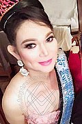 Roma Trans Escort Ladyboy Carlina 329 76 93 880 foto selfie 37