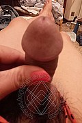 Roma Trans Escort Ladyboy Carlina 329 76 93 880 foto selfie 41
