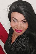Prato Trans Tain� Oliveira 328 53 82 487 foto selfie 80