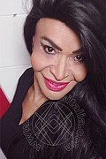 Prato Trans Tain� Oliveira 328 53 82 487 foto selfie 82