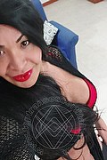 Prato Trans Escort Tain� Oliveira 328 53 82 487 foto selfie 76
