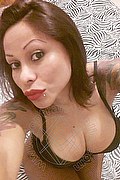 Rimini Trans Alessandra Toledo Pornostar 339 67 43 933 foto selfie 284