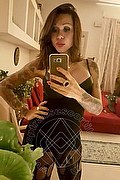 Rimini Trans Escort Alessandra Toledo Pornostar 339 67 43 933 foto selfie 275