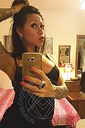 Rimini Trans Escort Alessandra Toledo Pornostar 339 67 43 933 foto selfie 274