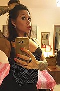 Rimini Trans Alessandra Toledo Pornostar 339 67 43 933 foto selfie 238