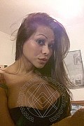 Rimini Trans Escort Alessandra Toledo Pornostar 339 67 43 933 foto selfie 260