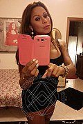 Rimini Trans Escort Alessandra Toledo Pornostar 339 67 43 933 foto selfie 265