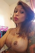 Rimini Trans Alessandra Toledo Pornostar 339 67 43 933 foto selfie 256