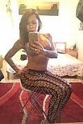 Rimini Trans Escort Alessandra Toledo Pornostar 339 67 43 933 foto selfie 246