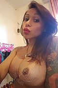 Rimini Trans Escort Alessandra Toledo Pornostar 339 67 43 933 foto selfie 243