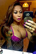 Rimini Trans Escort Alessandra Toledo Pornostar 339 67 43 933 foto selfie 227