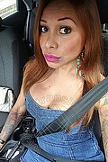 Rimini Trans Alessandra Toledo Pornostar 339 67 43 933 foto selfie 222