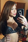 Rimini Trans Escort Alessandra Toledo Pornostar 339 67 43 933 foto selfie 210
