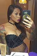 Rimini Trans Alessandra Toledo Pornostar 339 67 43 933 foto selfie 207