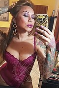 Rimini Trans Escort Alessandra Toledo Pornostar 339 67 43 933 foto selfie 154