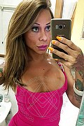 Rimini Trans Escort Alessandra Toledo Pornostar 339 67 43 933 foto selfie 100