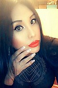 Iglesias Trans Escort Paola Fox 334 76 56 397 foto selfie 64