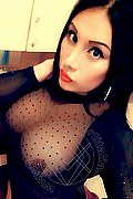 Iglesias Trans Escort Paola Fox 334 76 56 397 foto selfie 63