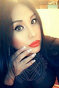 Iglesias Trans Paola Fox 334 76 56 397 foto selfie 61