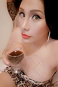 Iglesias Trans Escort Paola Fox 334 76 56 397 foto selfie 45