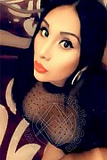 Iglesias Trans Paola Fox 334 76 56 397 foto selfie 58