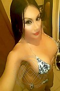 Iglesias Trans Escort Paola Fox 334 76 56 397 foto selfie 42