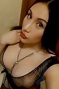 Iglesias Trans Paola Fox 334 76 56 397 foto selfie 55