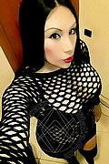 Iglesias Trans Escort Paola Fox 334 76 56 397 foto selfie 36