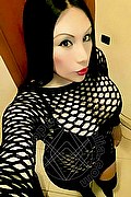 Iglesias Trans Paola Fox 334 76 56 397 foto selfie 33