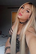 Sondrio Trans Escort Cloy 339 53 39 805 foto selfie 14