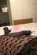 Chiavari Trans Escort Keylla Rios 333 56 54 798 foto selfie 52