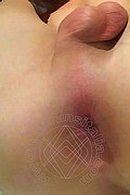 Roma Trans Ingrid 329 14 40 518 foto selfie 7